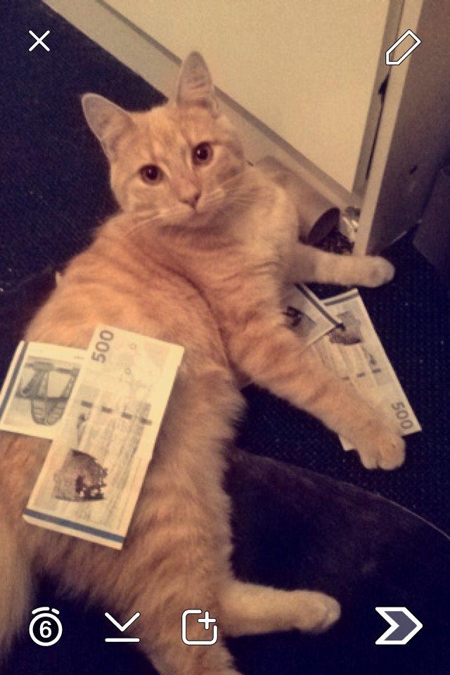 Blanding af racer Killer billede 1