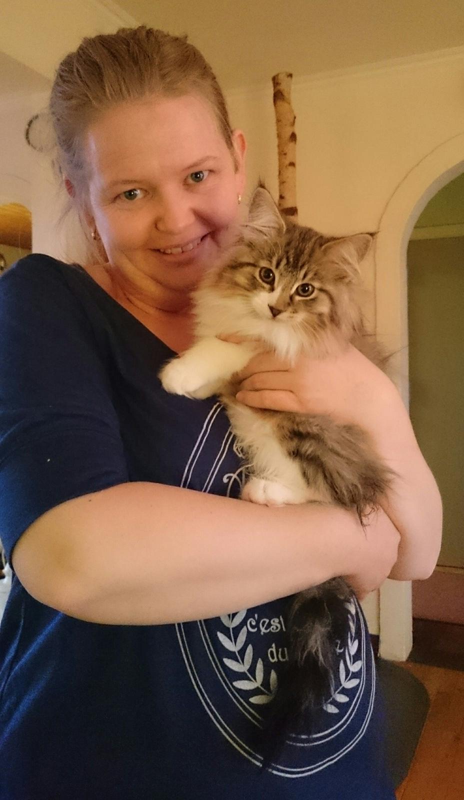 Norsk Skovkat DK SHAGGYTAIL'S OH MY SWEET DIVA  billede 18