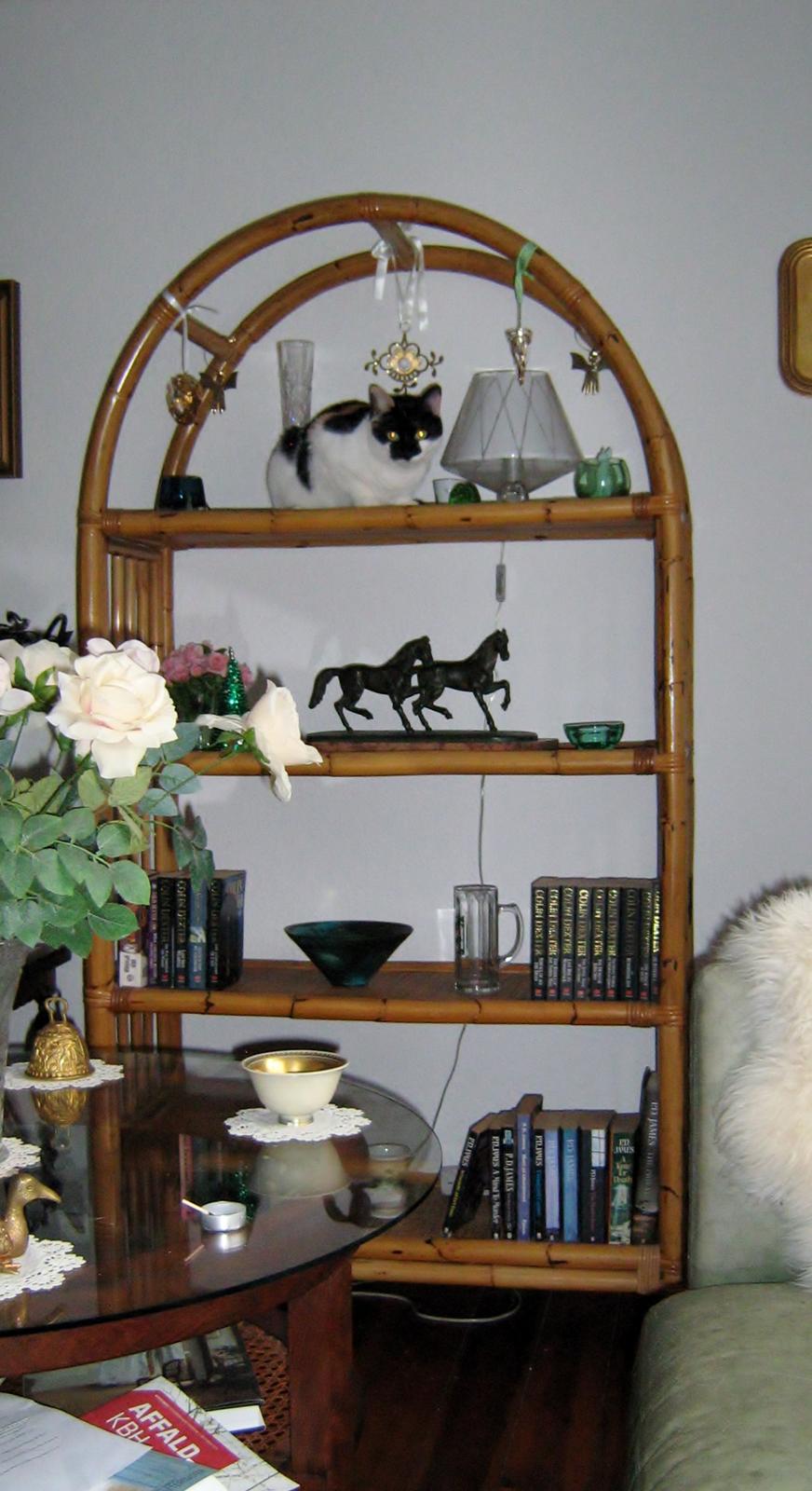 Huskat Arabella Scarlett billede 15