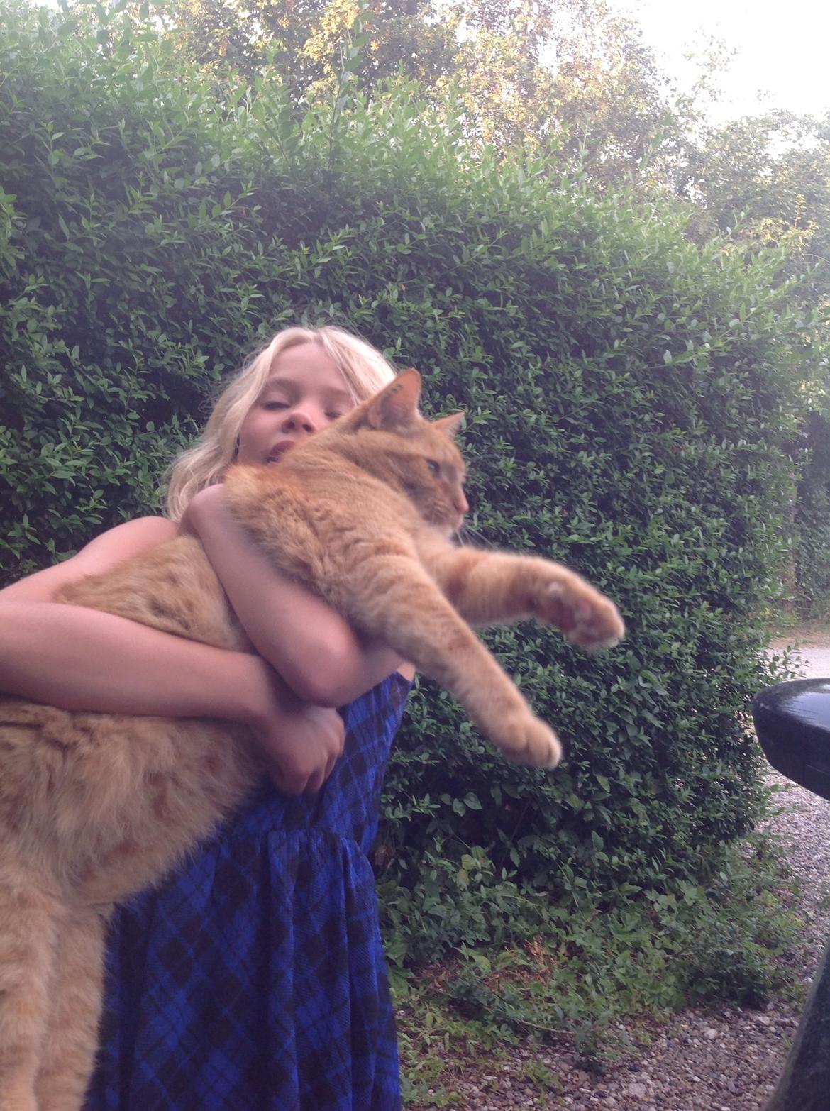 Huskat Nugga billede 17