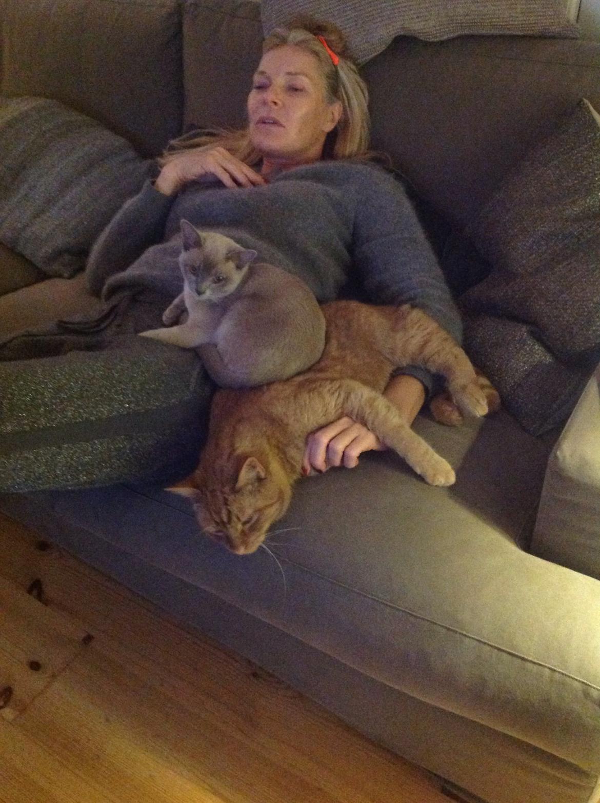 Huskat Nugga billede 23