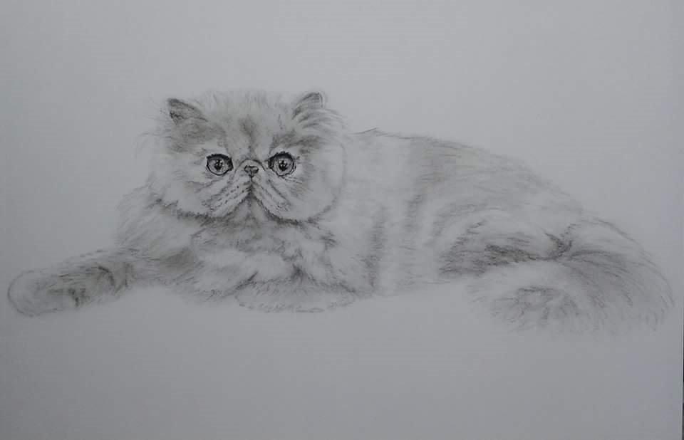 Perser Belinda af kambyses  billede 9