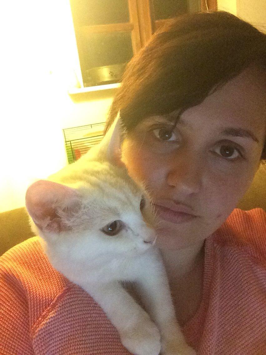 Blanding af racer Lucca billede 9