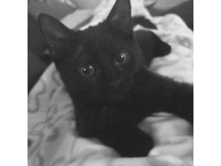 {{currentPhoto.altText}} billede {{currentPhoto.number}}