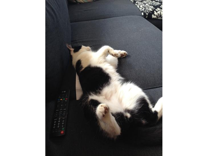 {{currentPhoto.altText}} billede {{currentPhoto.number}}