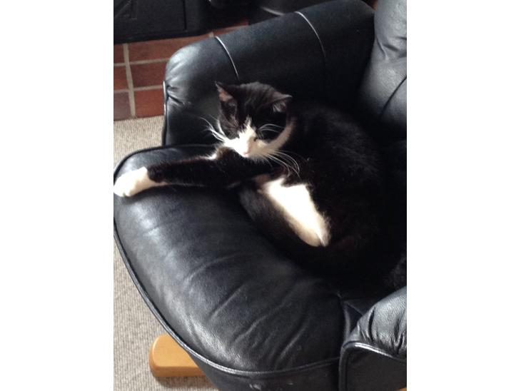 {{currentPhoto.altText}} billede {{currentPhoto.number}}