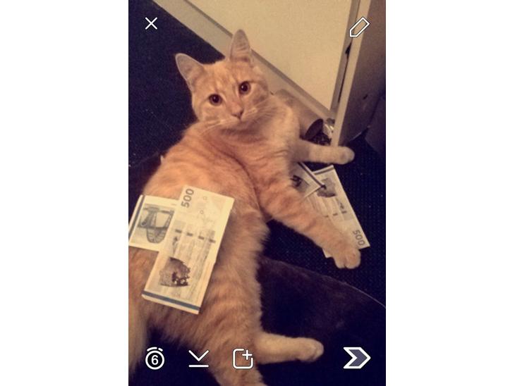 {{currentPhoto.altText}} billede {{currentPhoto.number}}