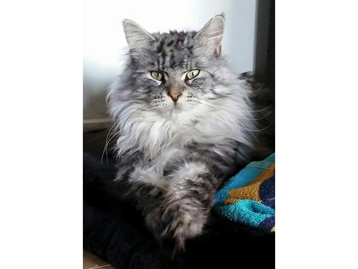 {{currentPhoto.altText}} billede {{currentPhoto.number}}