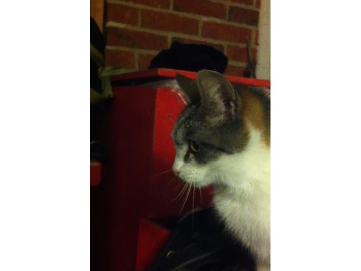 {{currentPhoto.altText}} billede {{currentPhoto.number}}