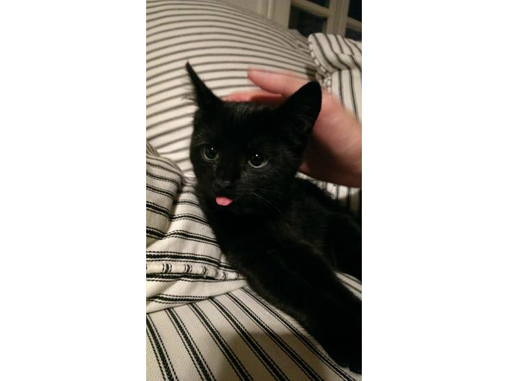 {{currentPhoto.altText}} billede {{currentPhoto.number}}