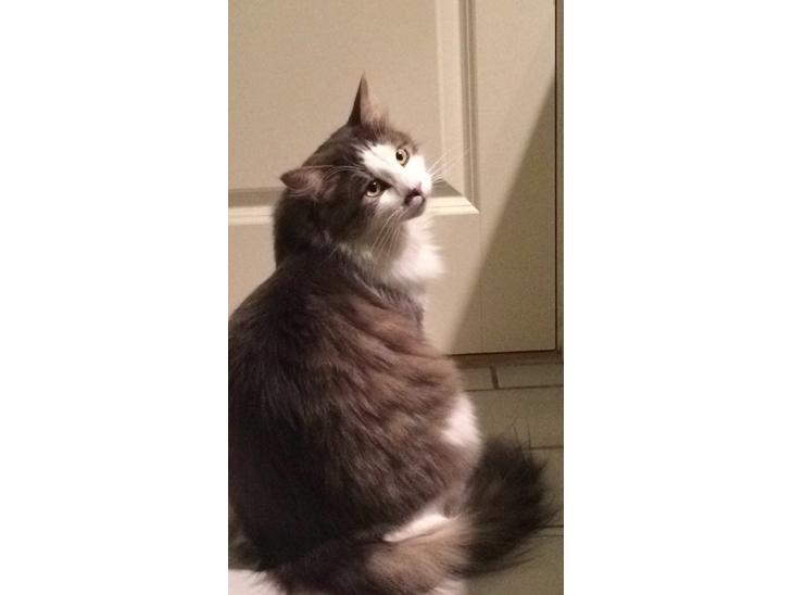 {{currentPhoto.altText}} billede {{currentPhoto.number}}