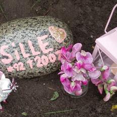 Blanding af racer Sille