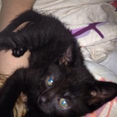 Blanding af racer Kait Mæit <3