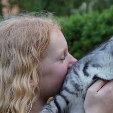 Blanding af racer Punktum