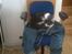Huskat Trold
