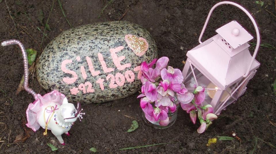 Blanding af racer Sille billede 2