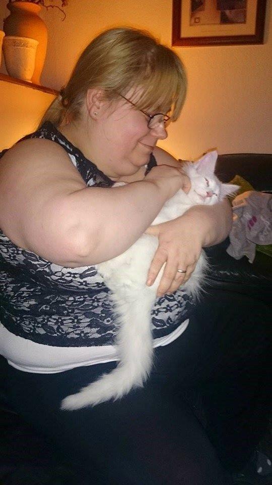 Norsk Skovkat Dk northtown cats Elvira billede 17