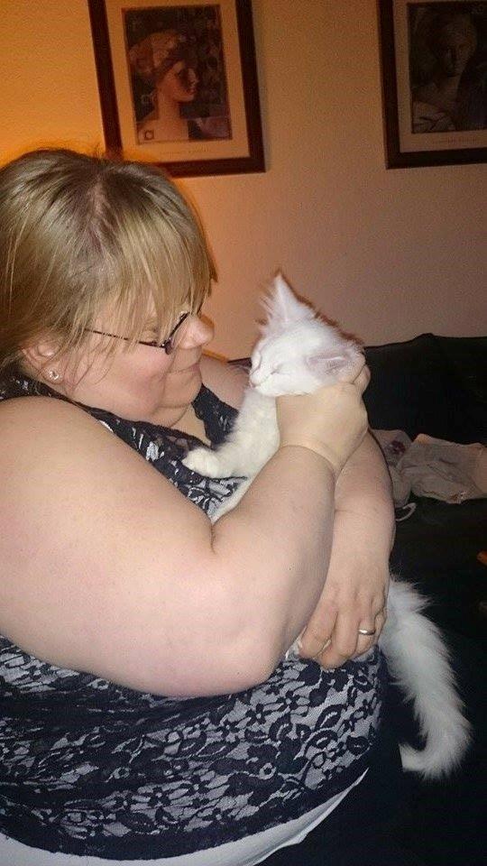 Norsk Skovkat Dk northtown cats Elvira billede 18