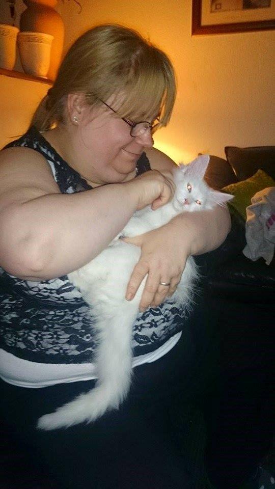 Norsk Skovkat Dk northtown cats Elvira billede 22