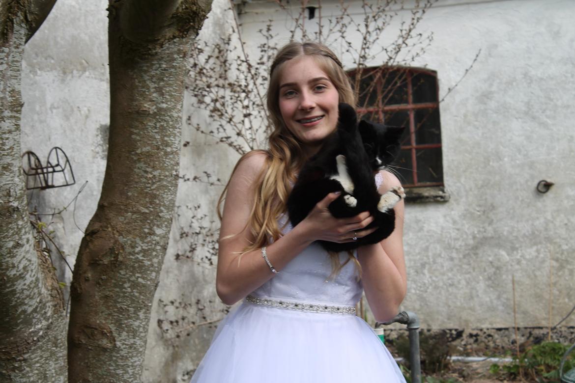 Huskat Kitkat billede 7