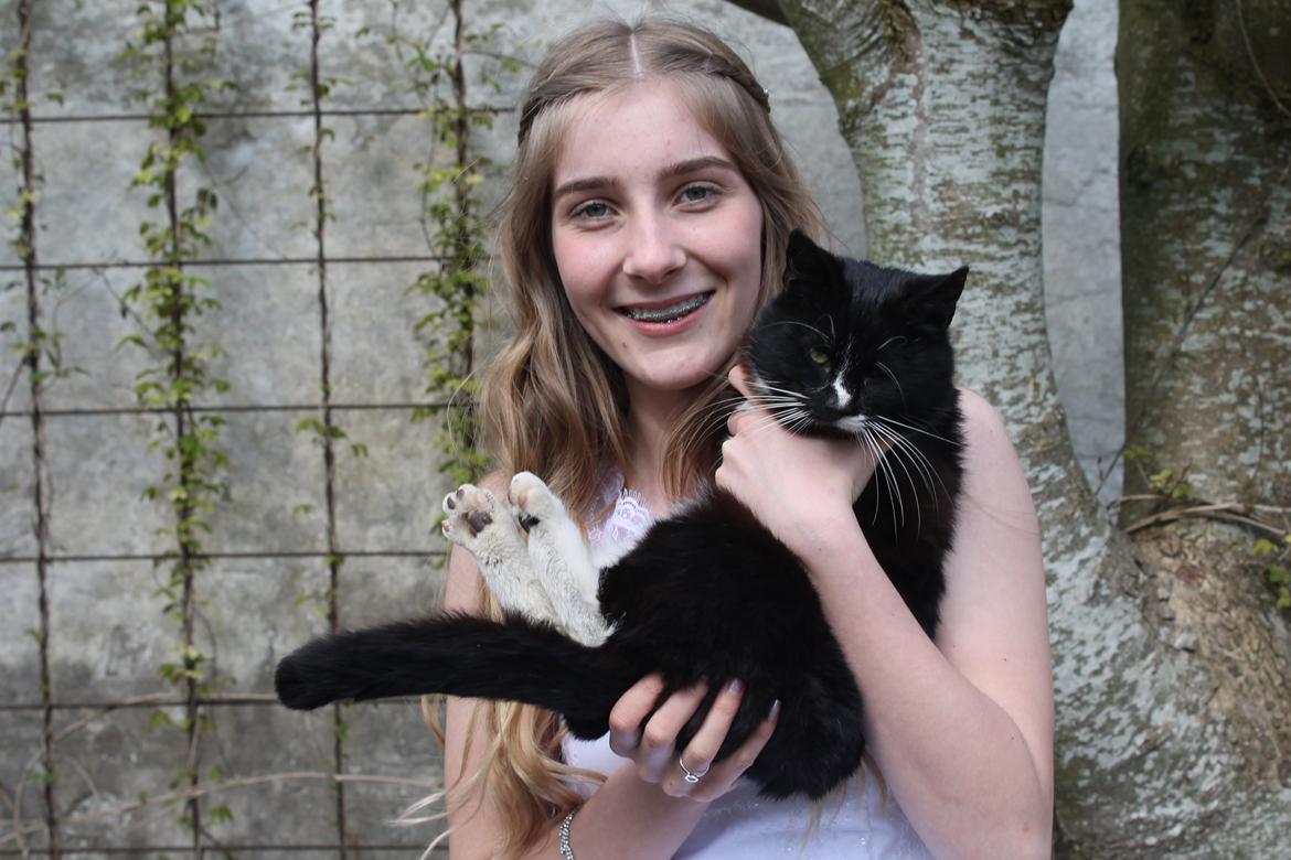 Huskat Kitkat billede 3