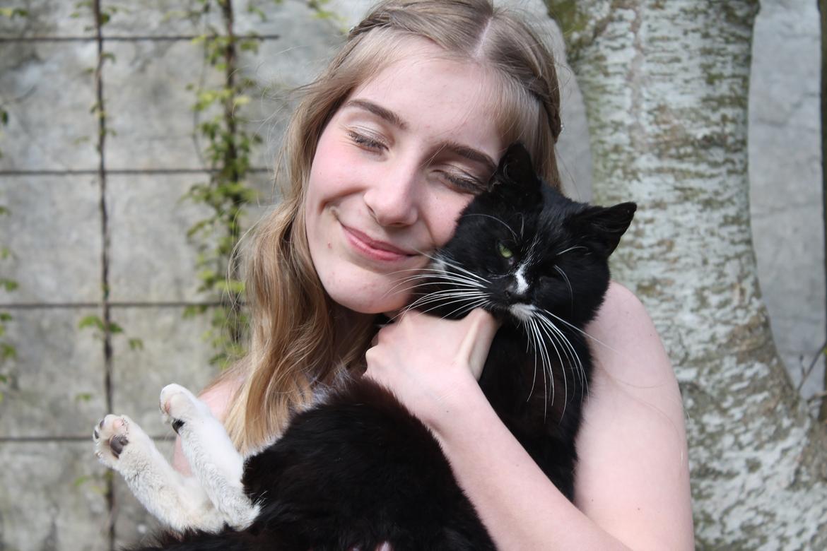 Huskat Kitkat billede 6