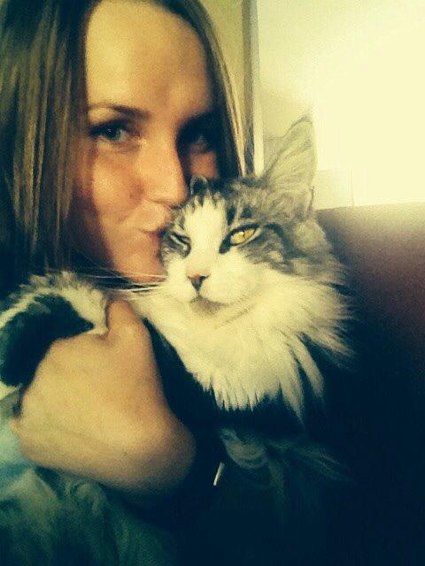 Maine Coon DK Bjørnholts Enzo †  billede 19