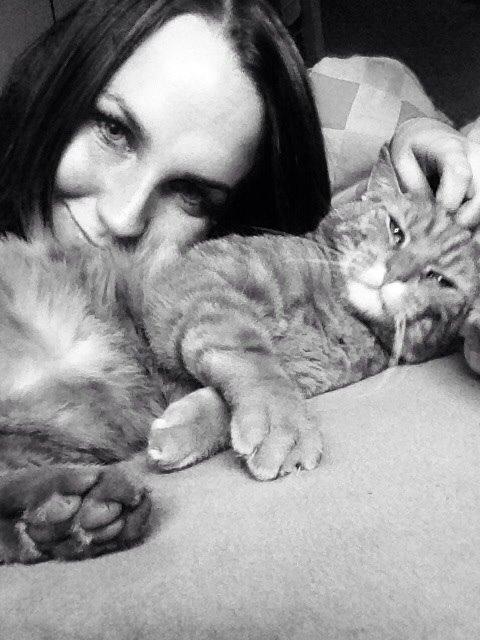 Huskat Bet Ski (min søsters kat) billede 17