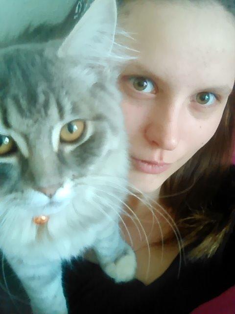 Blanding af racer Pixie  - HVAD LAVER DU MED DEN DER. hov tager du billeder billede 5