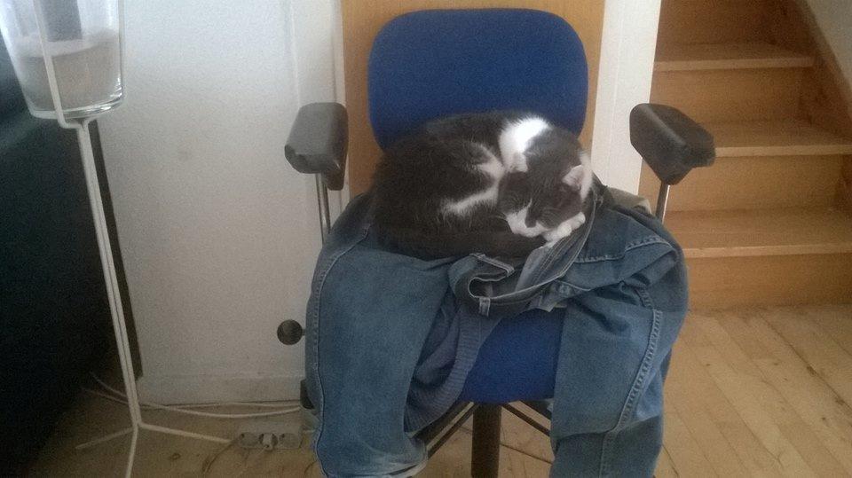 Huskat Trold billede 24