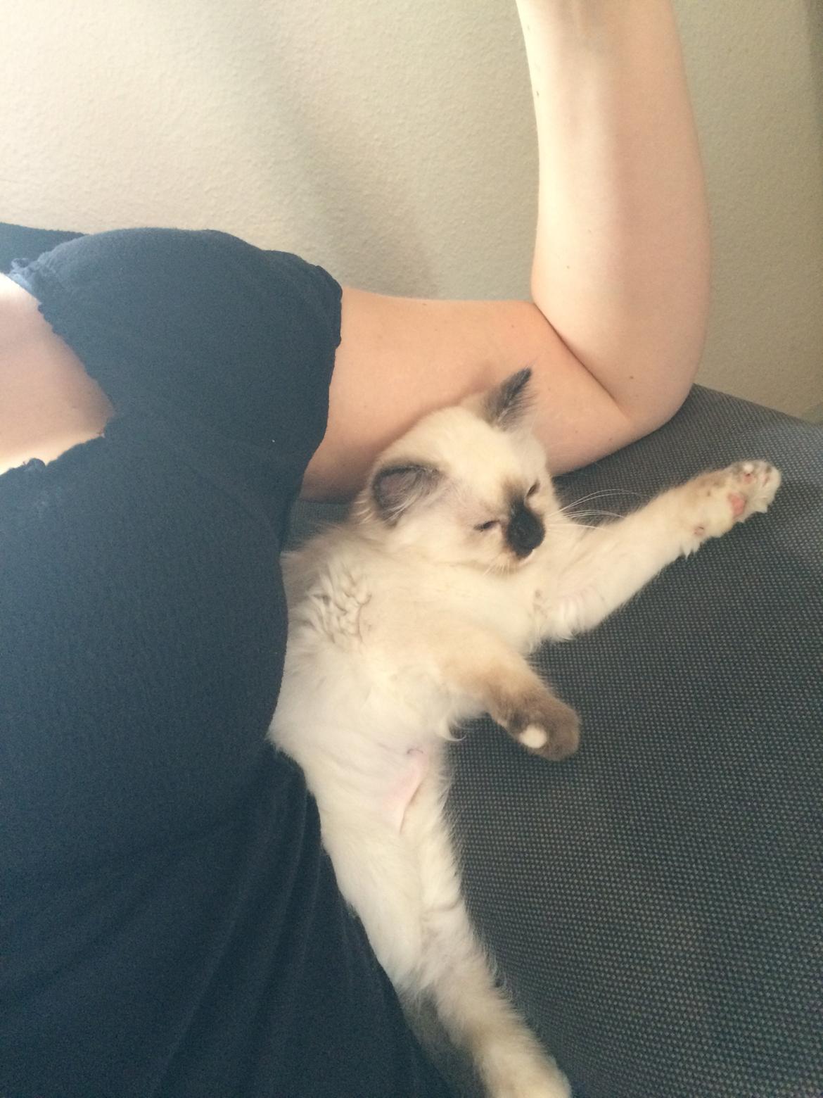 Blanding af racer Esther billede 10