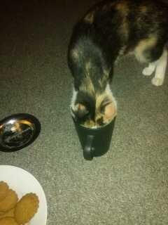 Huskat plet / trøsen  billede 7