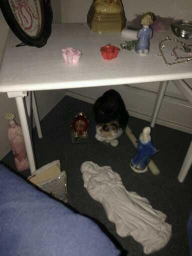 Huskat plet / trøsen  billede 12