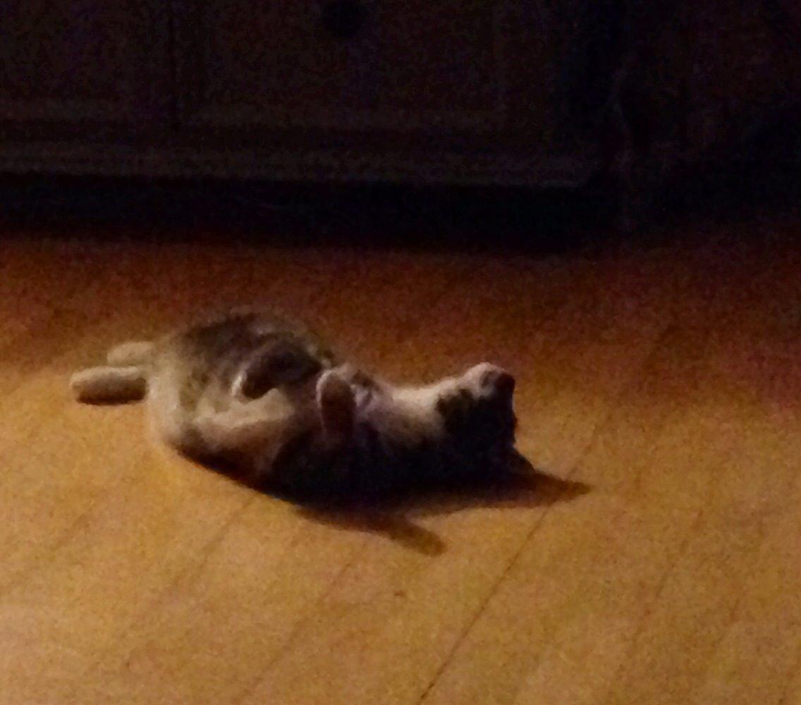 Reersø Mille *Himmelmis* billede 16