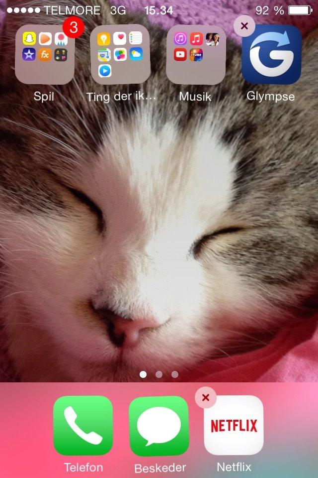 Huskat Baby Jr. billede 5