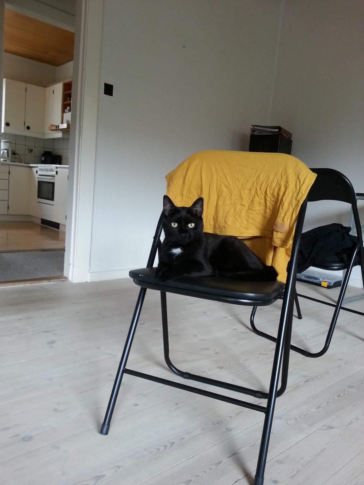 Huskat Kaj billede 4