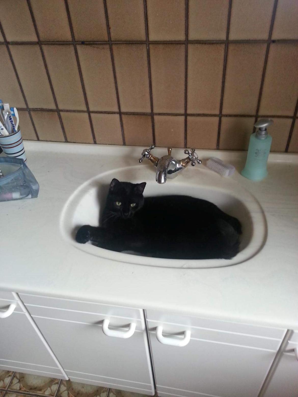 Huskat Kaj billede 3