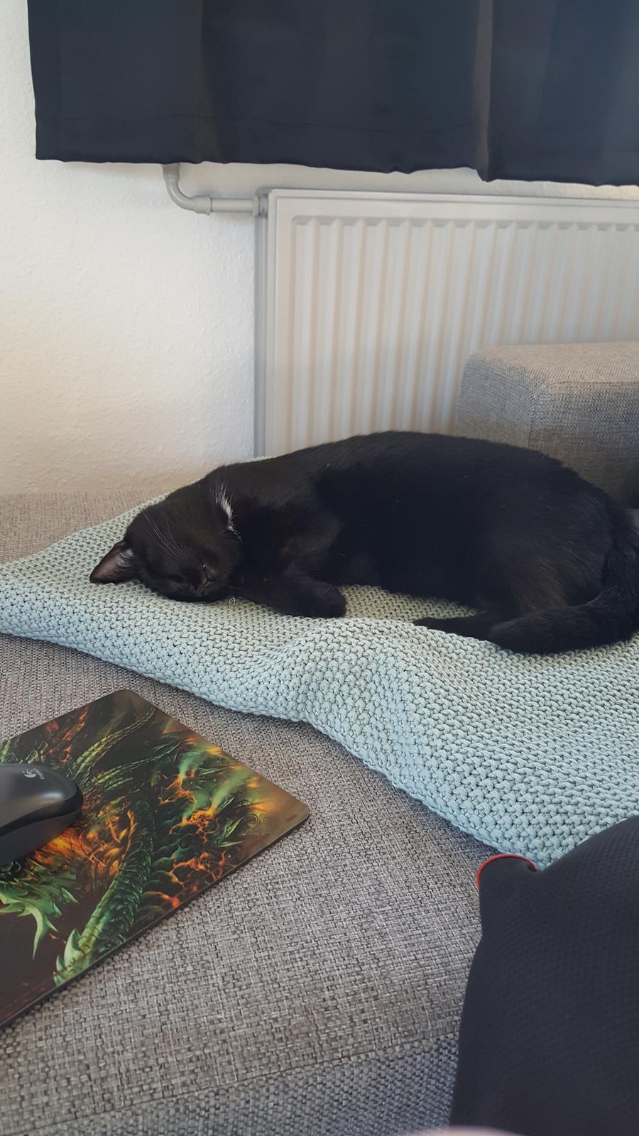 Huskat Kaj billede 5