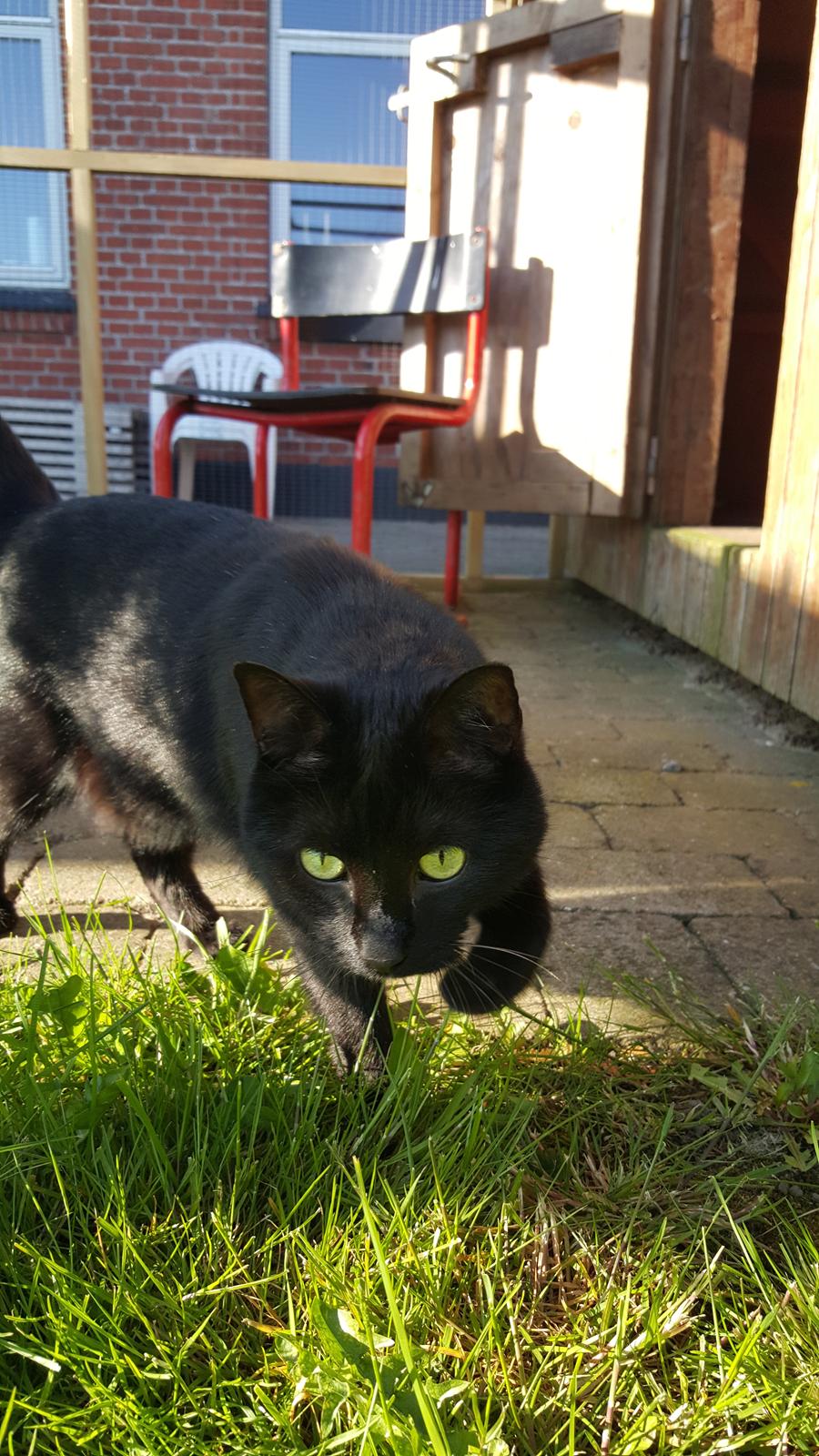 Huskat Kaj billede 1