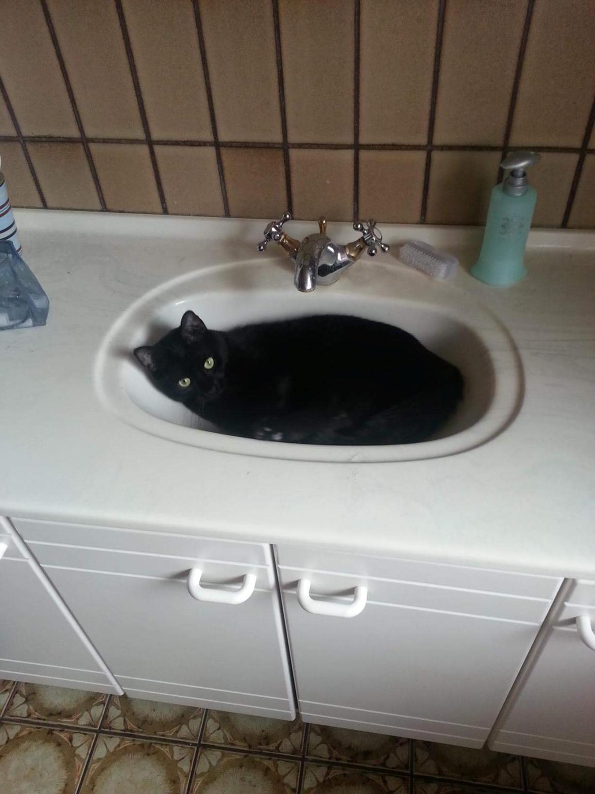 Huskat Kaj billede 7