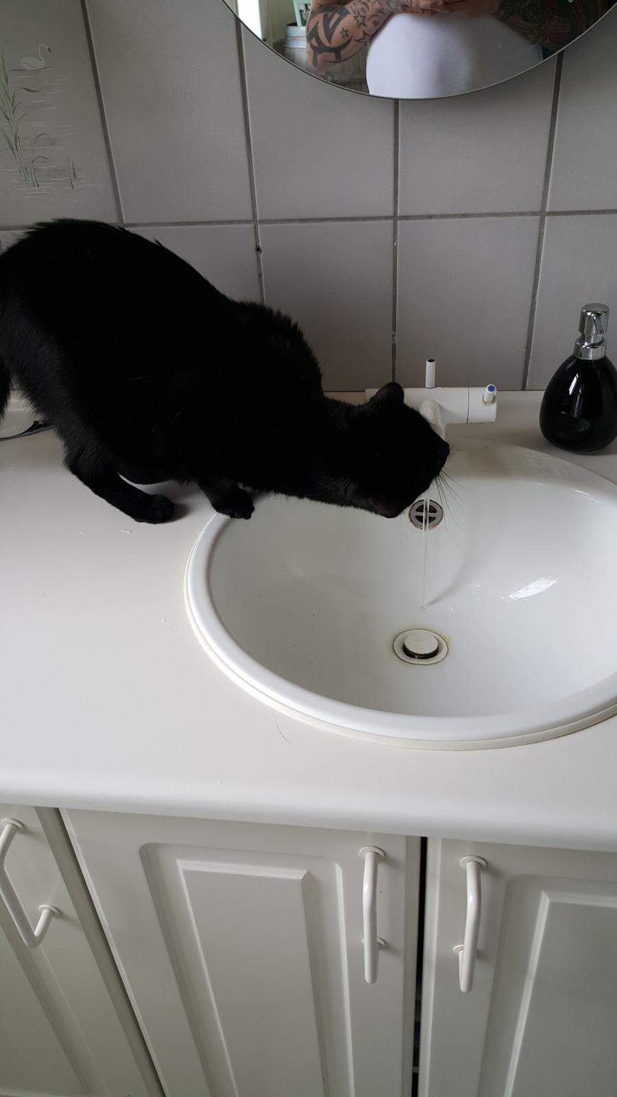 Huskat Kaj billede 8