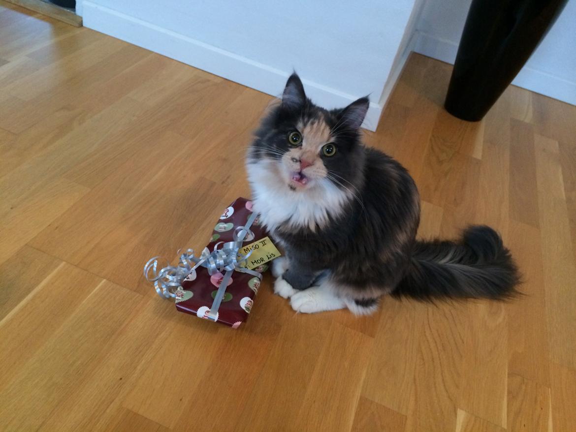 Huskat Cleopatra billede 9