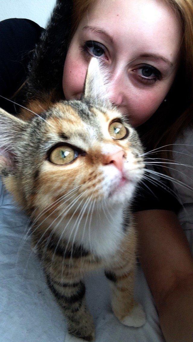 Blanding af racer Smutter billede 3