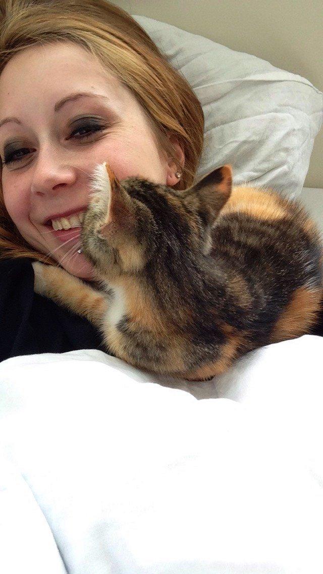 Blanding af racer Smutter billede 6