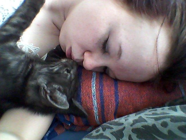 Blanding af racer Lucifer billede 5