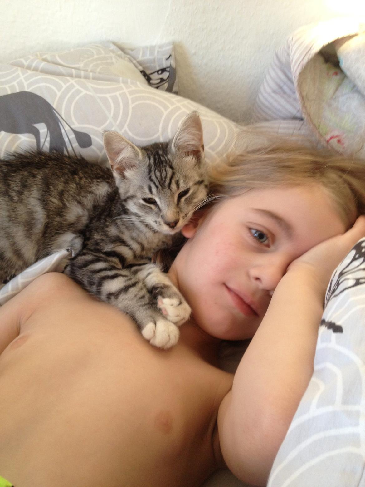 Blanding af racer Punktum billede 13