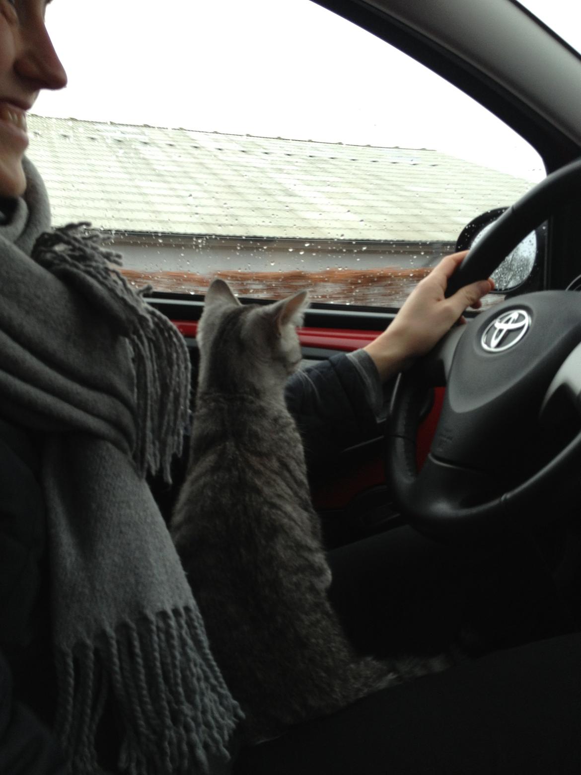 Blanding af racer Punktum billede 7