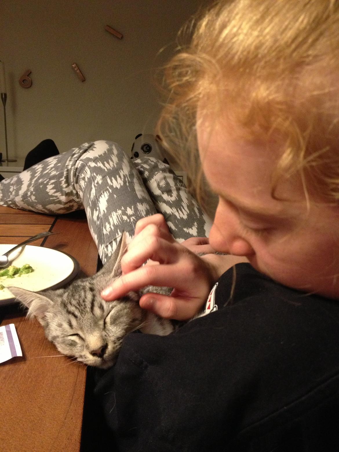 Blanding af racer Punktum billede 5