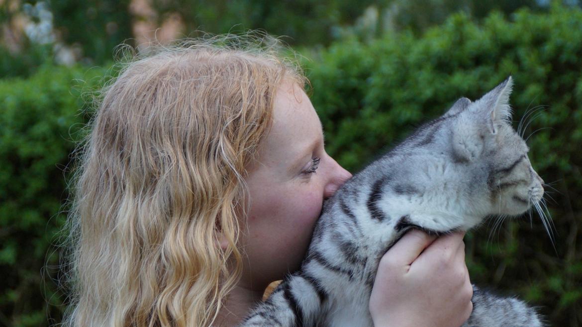 Blanding af racer Punktum billede 2