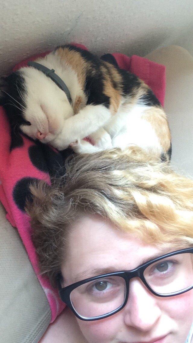 Huskat Kitty billede 26